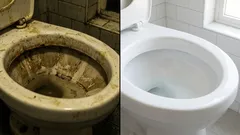 Nessun odore di fogna o urina: trucchi per eliminare gli odori dal bagno in cinque minuti